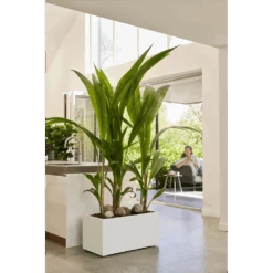 Elho Vivo Next Lang Wielen 60cm - Wit -Tuinbenodigdheden vivo next lang wielen 60cm wit 7 1