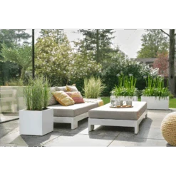 Elho Vivo Next Vierkant Wielen 30cm - Wit 15 Elho Vivo Next Vierkant Wielen 30cm - Wit -Tuinbenodigdheden vivo next vierkant wielen 30cm wit 7 1