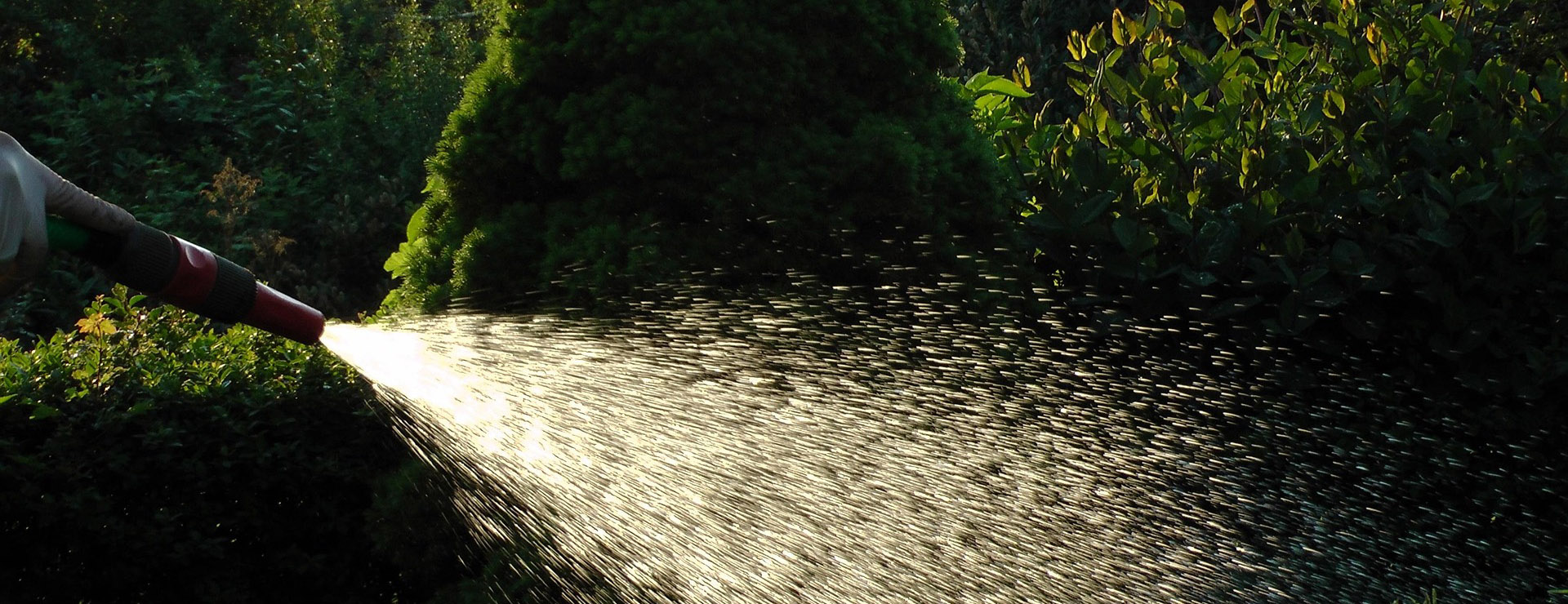 Voorkant 4 Voorkant -Tuinbenodigdheden water 507386 1920